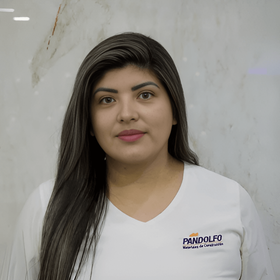 Pandolfo S.A.
